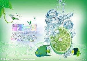 拜仁欧冠赛场意外失利，重返起跑线