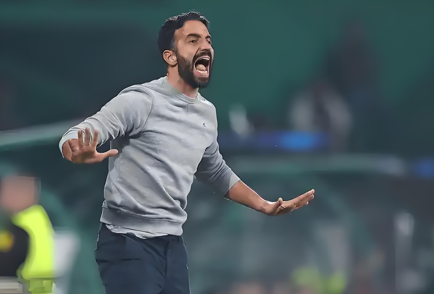 尼斯大胜，继续保持胜利势头的简单介绍